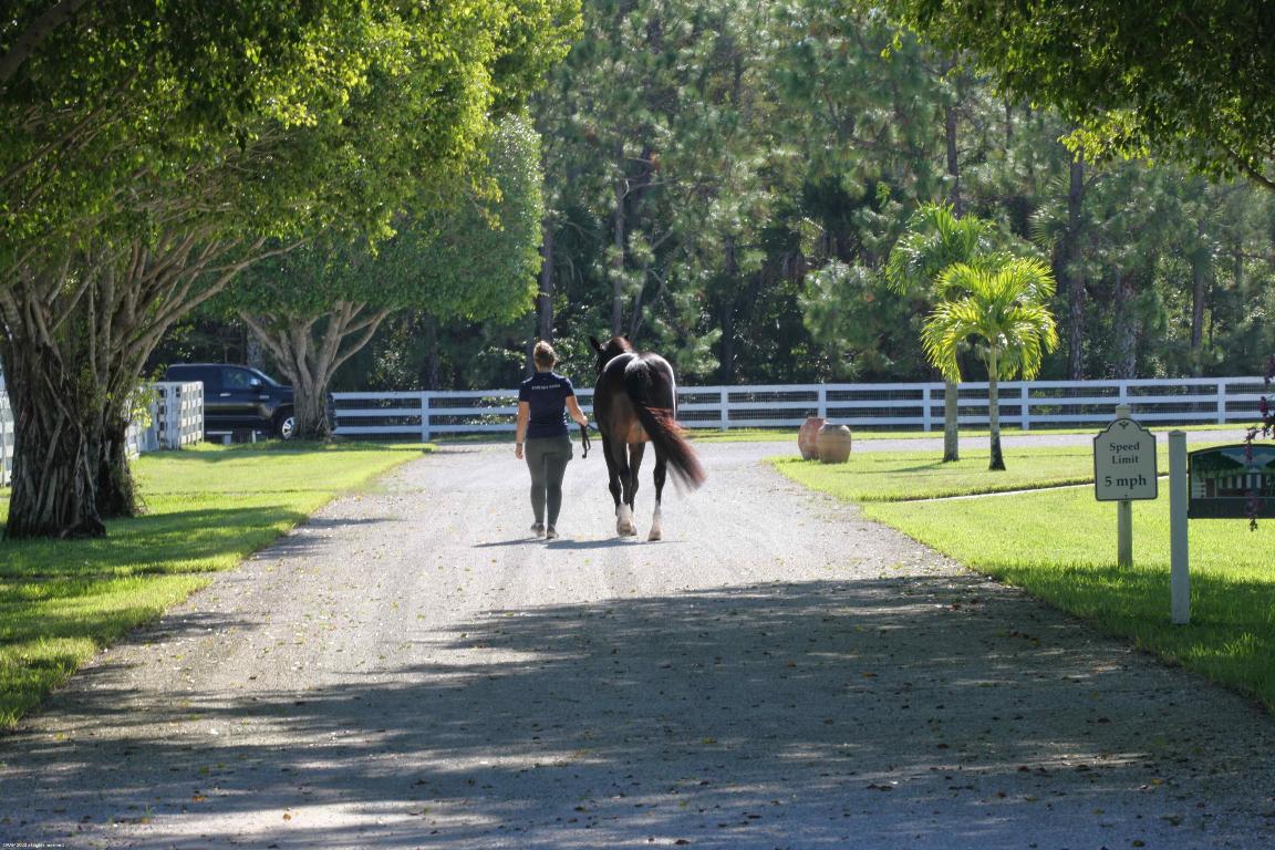 DEER RUN 2 - Residential