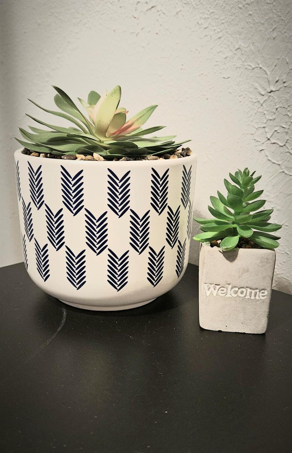 PARADISE PARK - Residential Lease