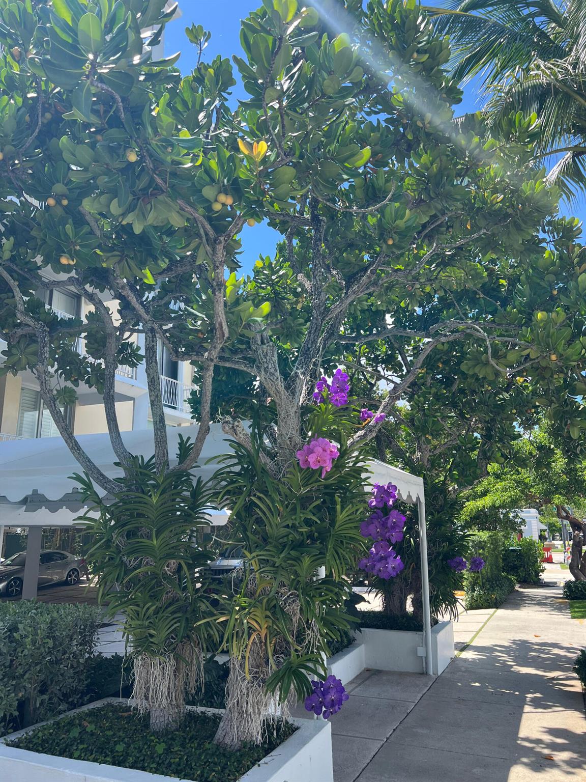 EVERGLADES PLAZA CONDO - Residential Lease