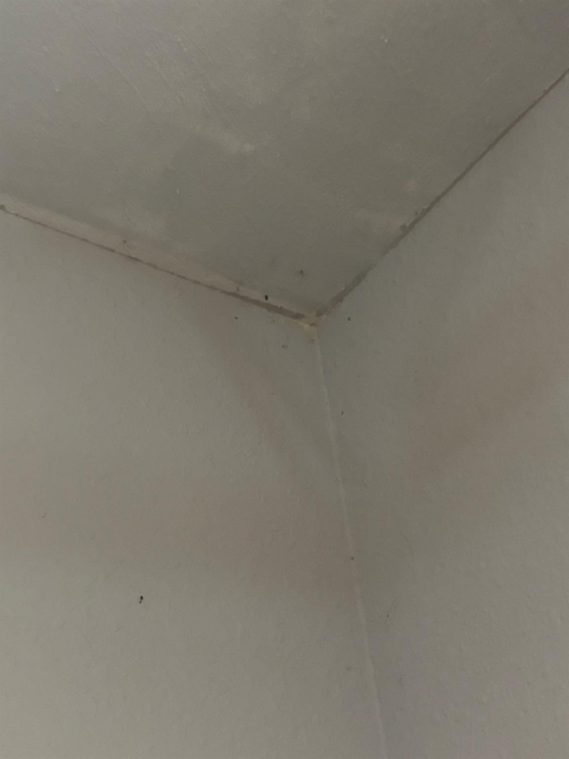 TOWNHOMES OF CAPRI ISLES - Residential