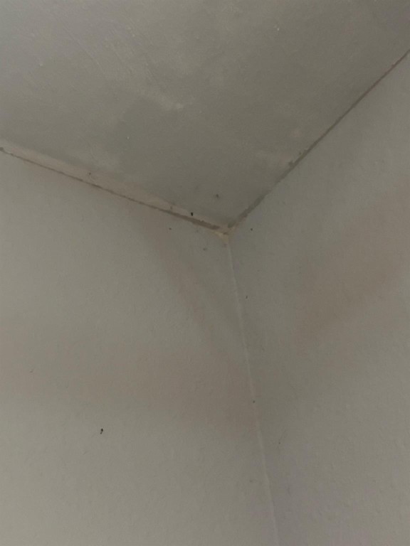 TOWNHOMES OF CAPRI ISLES - Residential