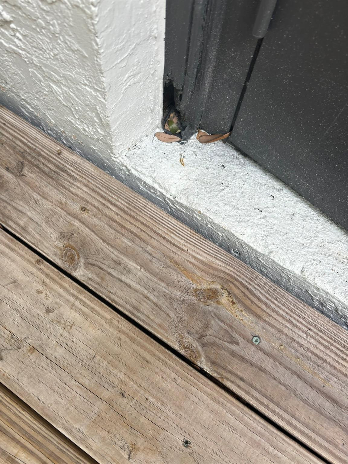 TOWNHOMES OF CAPRI ISLES - Residential