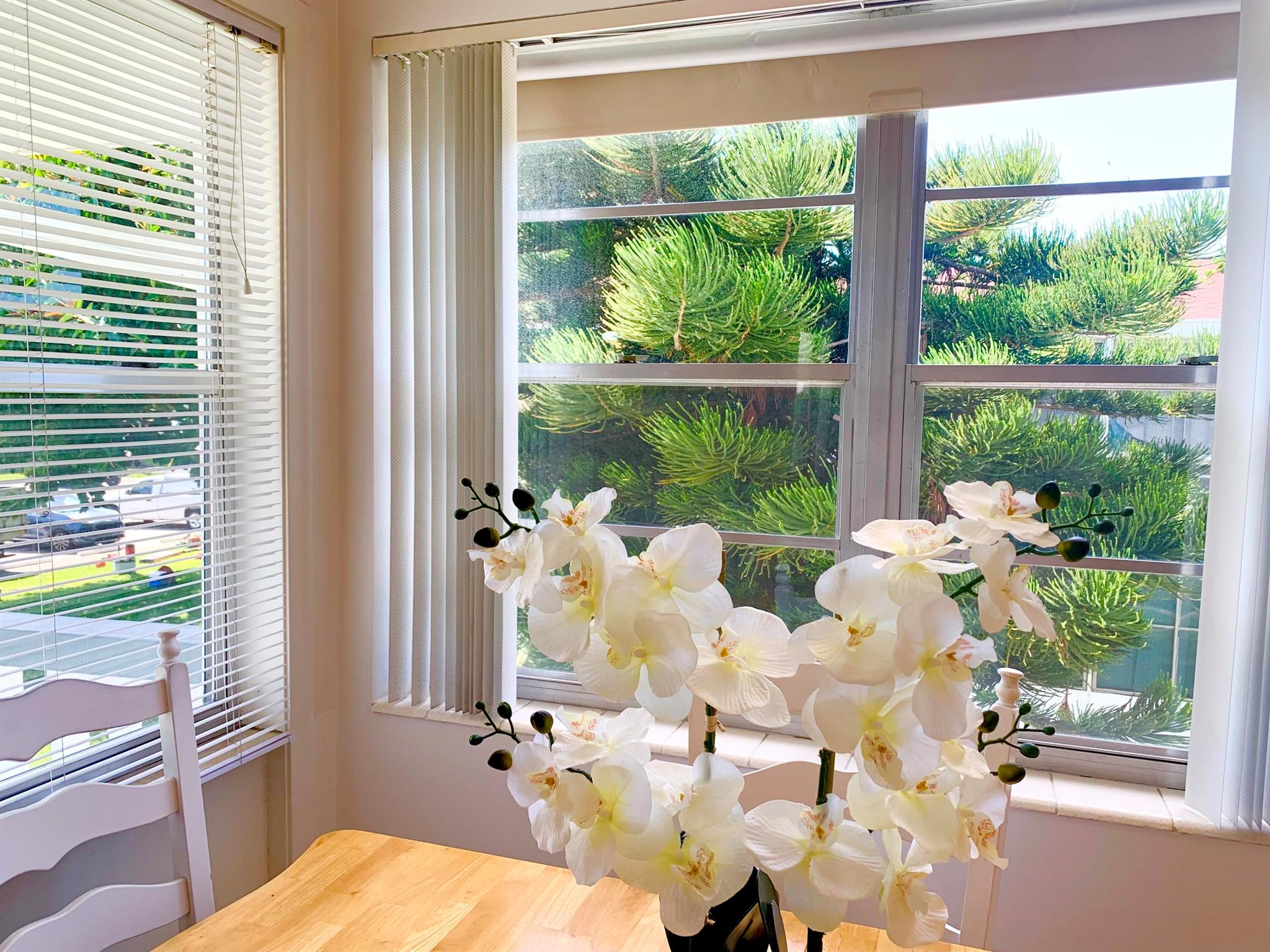 CENTURY VILLAGE - Residential