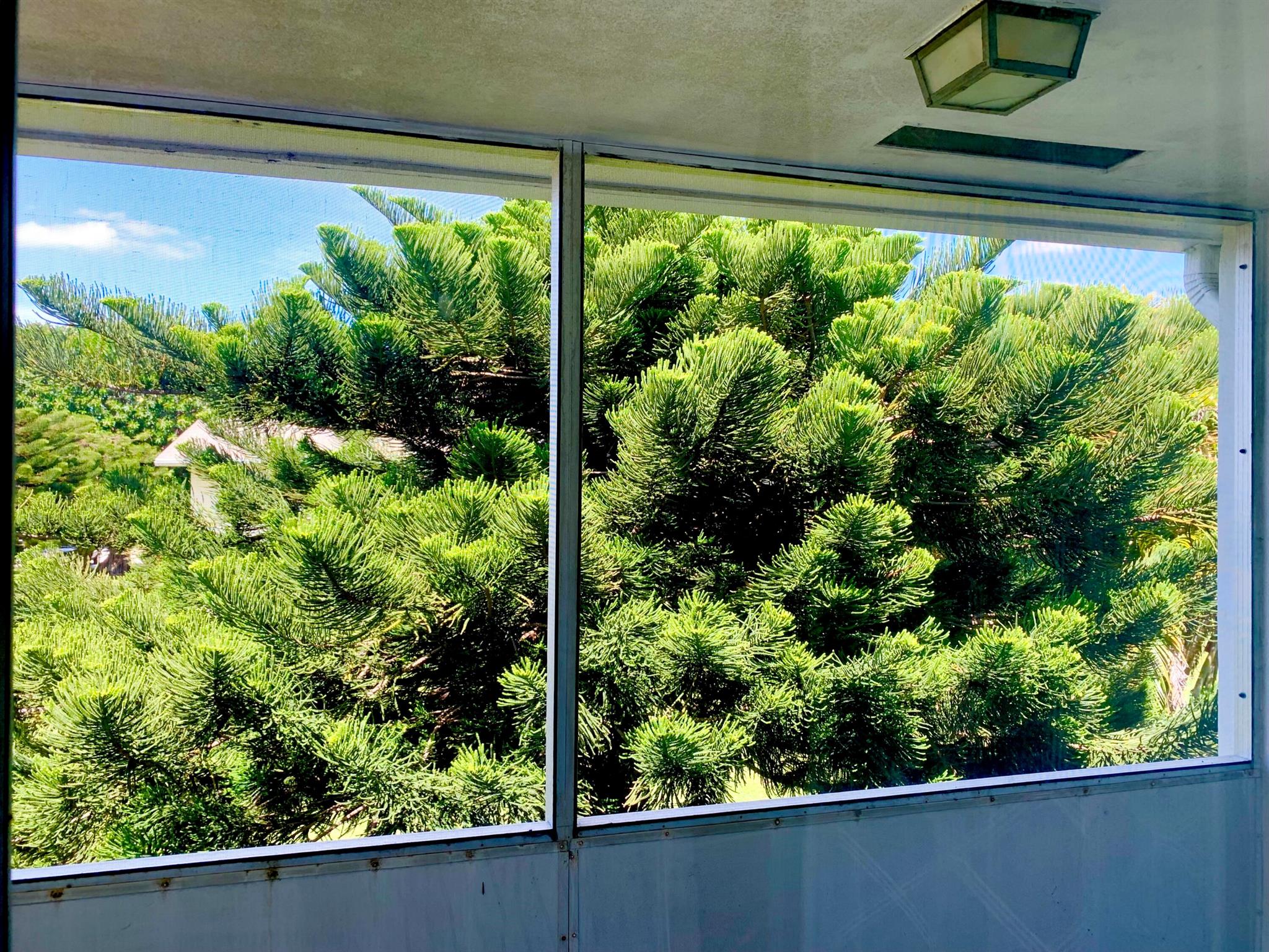 CENTURY VILLAGE - Residential