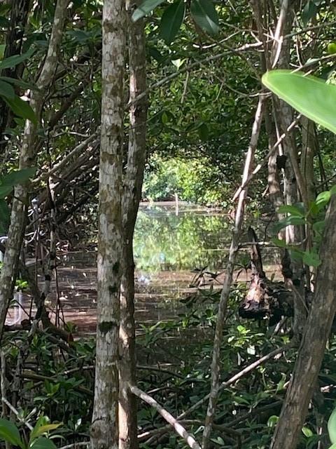 Acreage Header - Land