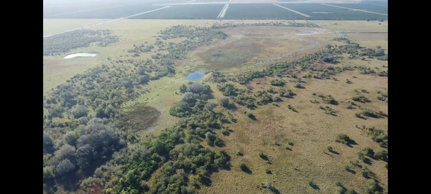 Own a piece of Old Florida with this property. This property has endless possibilities, from sod fields, to having a small herd of cattle. You can break this property into 5/10/20 acre parcels for development. This property comes with set of cow pens, and a 3bdrm 2 bath CBS home. Showings will need to be confirmed with a 24hr notice to the listing agent.