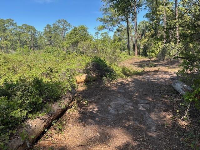 Daytona Park Estates - Land