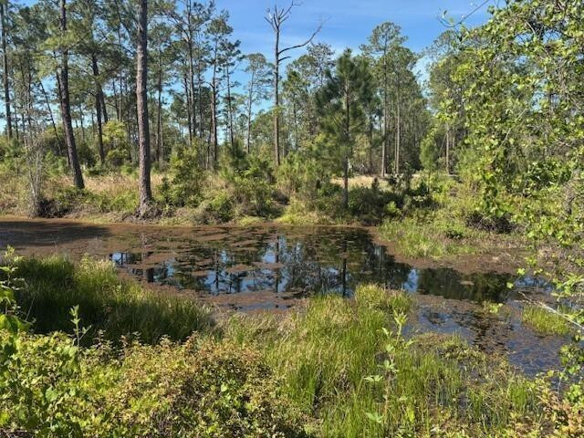 Daytona Park Estates - Land
