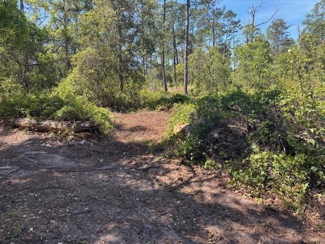 Daytona Park Estates - Land