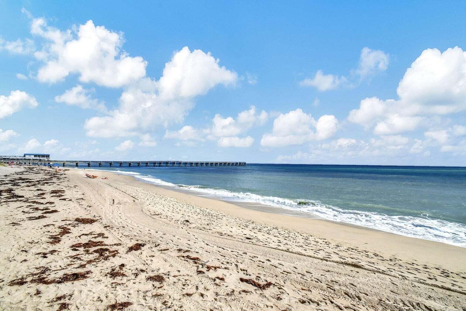 PALMBEACHER APTS INC - Residential