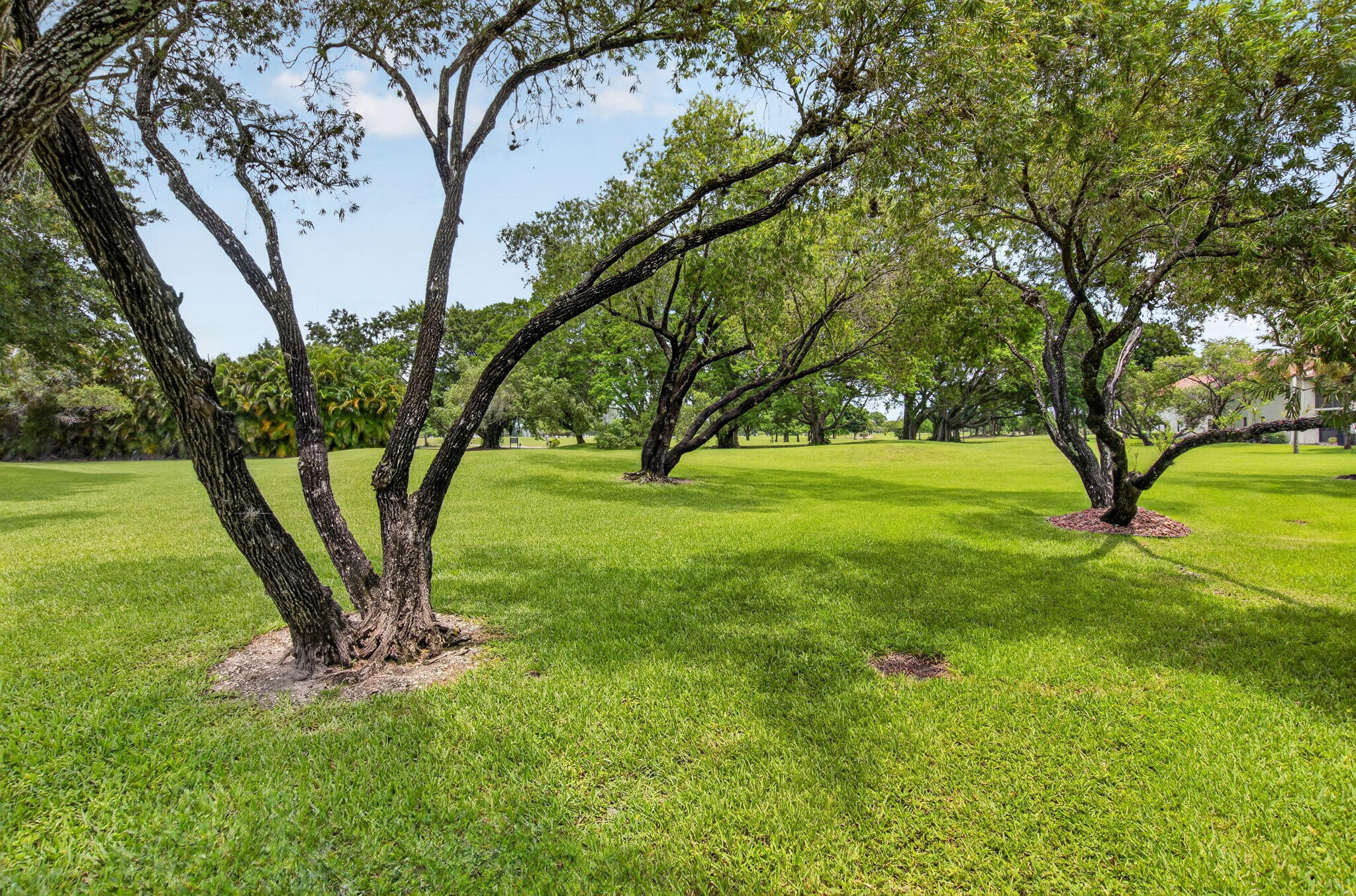 COVES AT PARKWALK CONDO - Residential