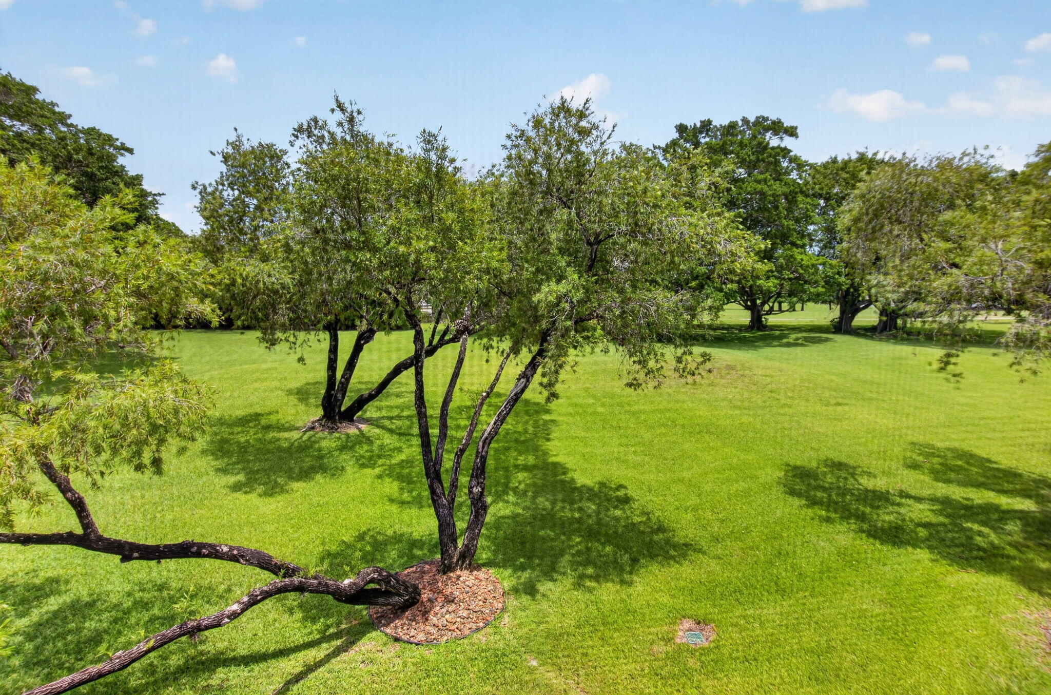 COVES AT PARKWALK CONDO - Residential