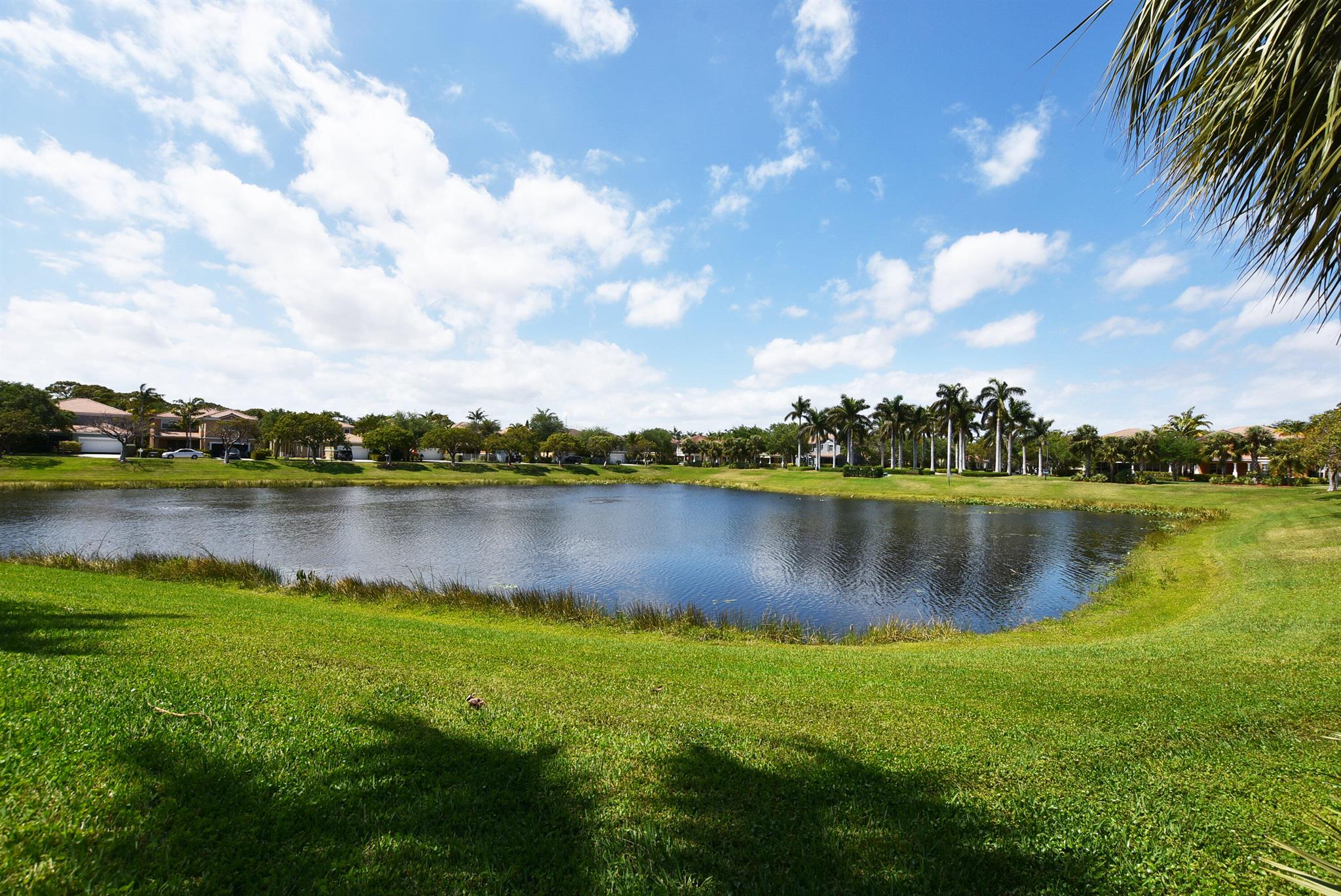 Bexley Park - Residential