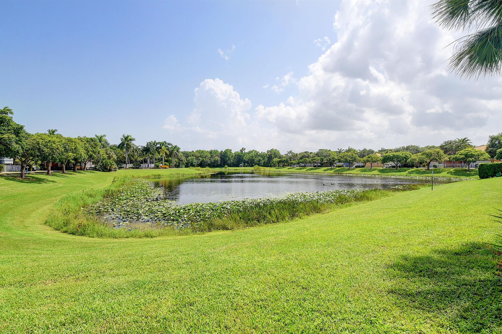 Bexley Park - Residential