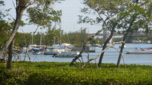 Jupiter Harbour - Residential