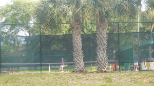 Jupiter Harbour - Residential