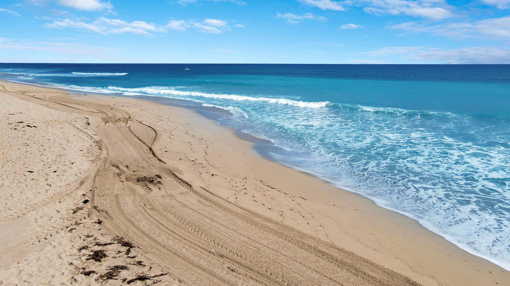 LE CHATEAU ROYAL CONDO - Residential Lease