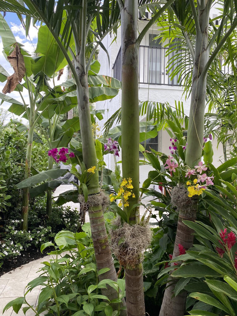 OSCEOLA PARK - Residential Lease