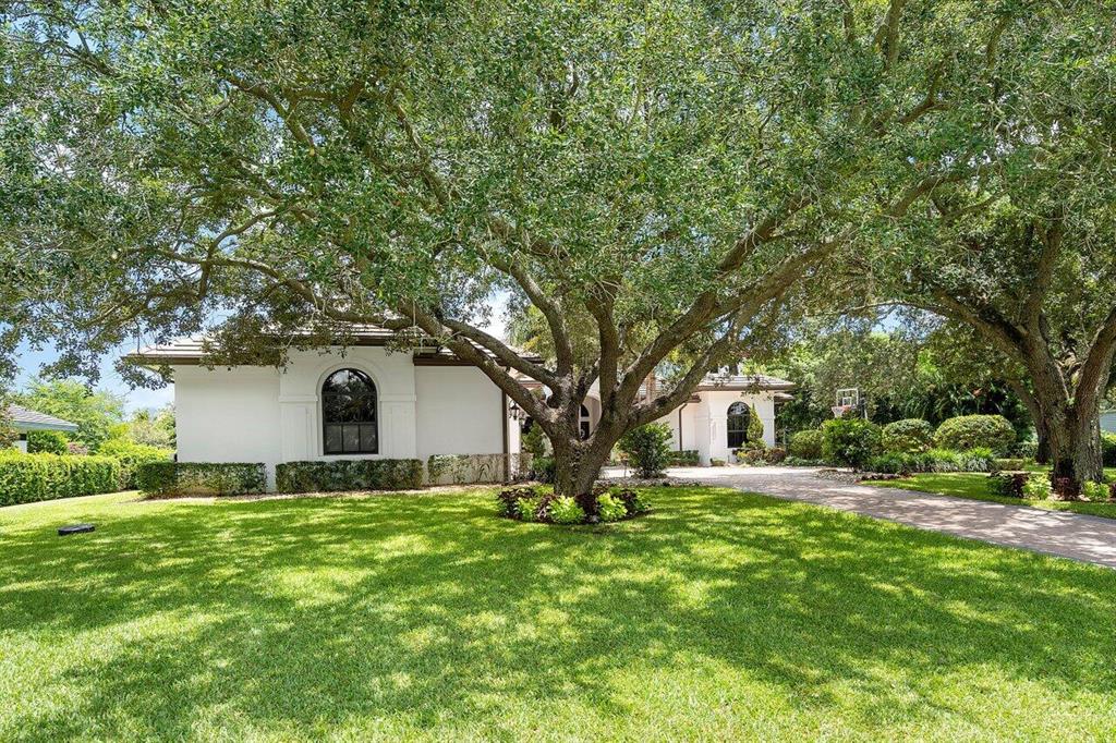 Steeplechase - Residential