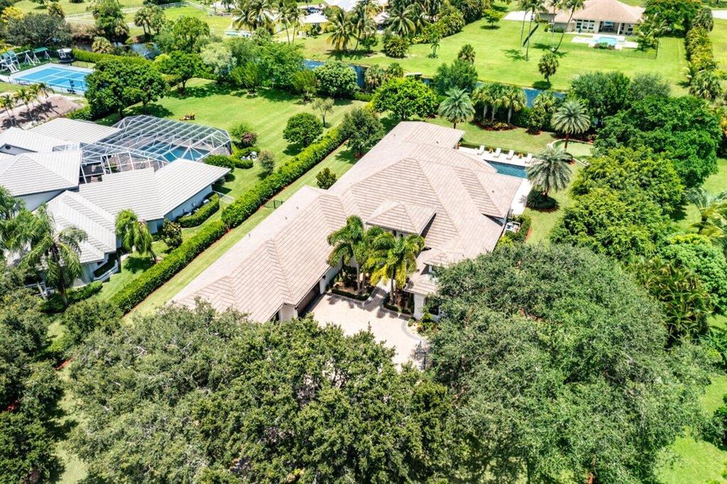 Steeplechase - Residential