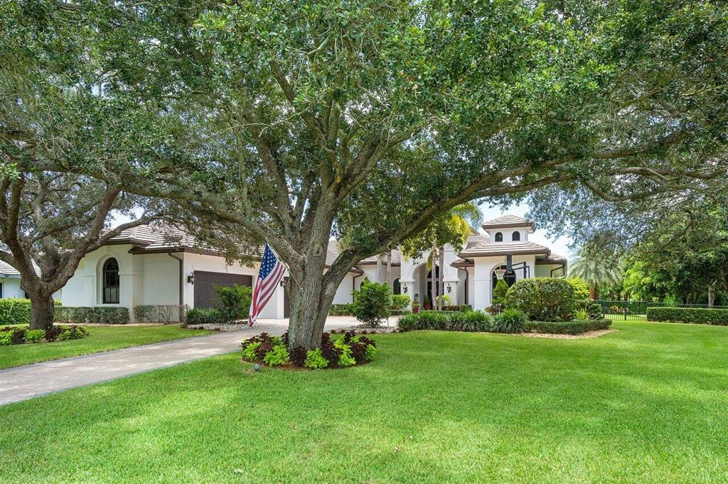 Steeplechase - Residential