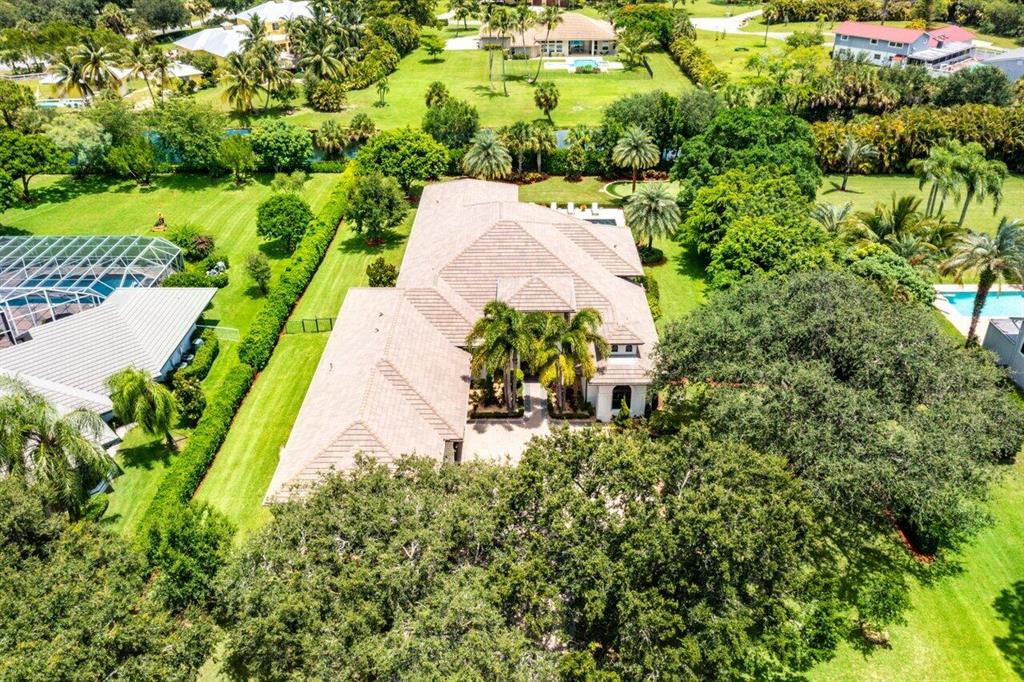 Steeplechase - Residential