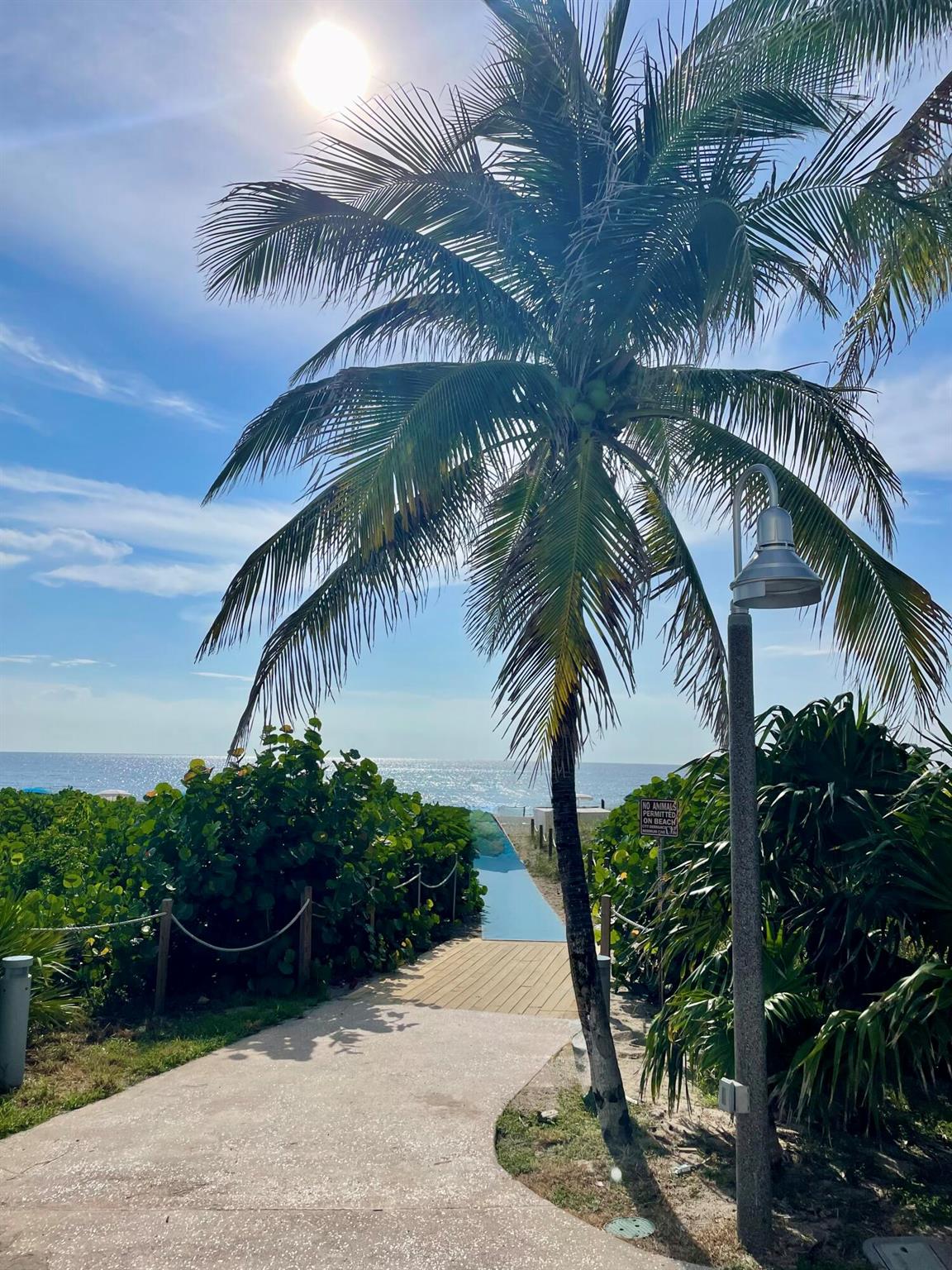 S/D OF 16-46-43 LYG E OF - Residential Lease