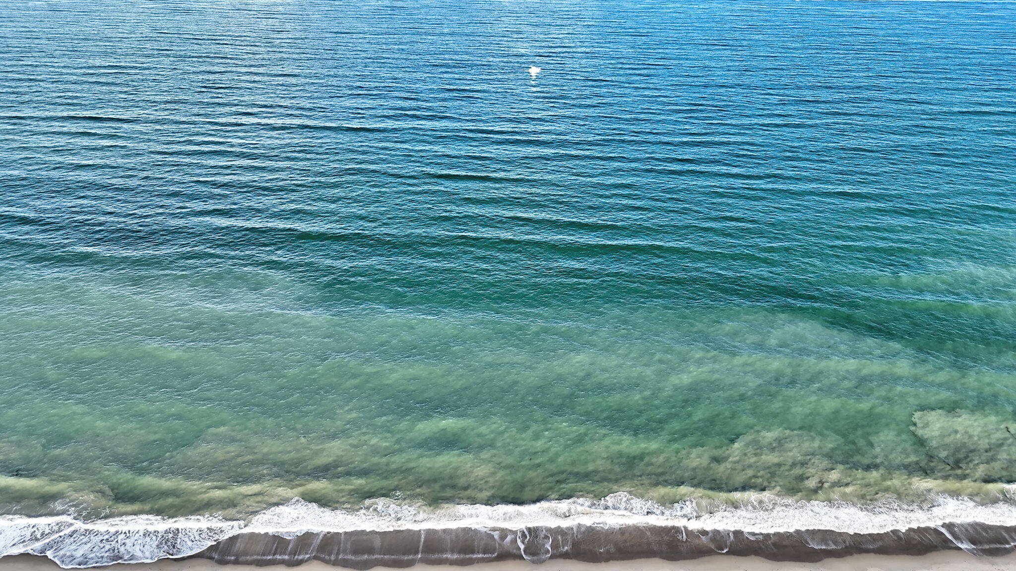 OCEAN VILLAGE - SEASCAPE II CONDOMINIUM - Residential