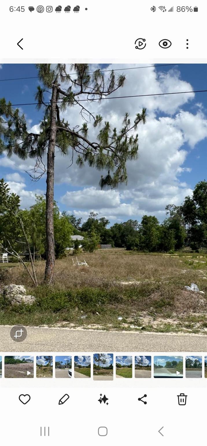 Lehigh Estate - Land