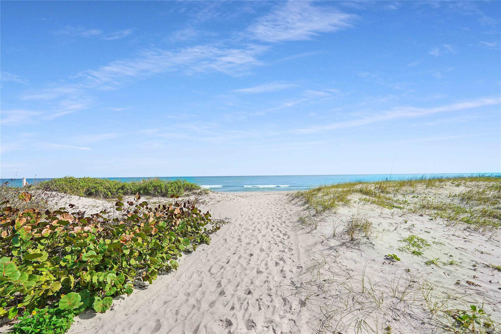 Royal Coast Condo - Residential