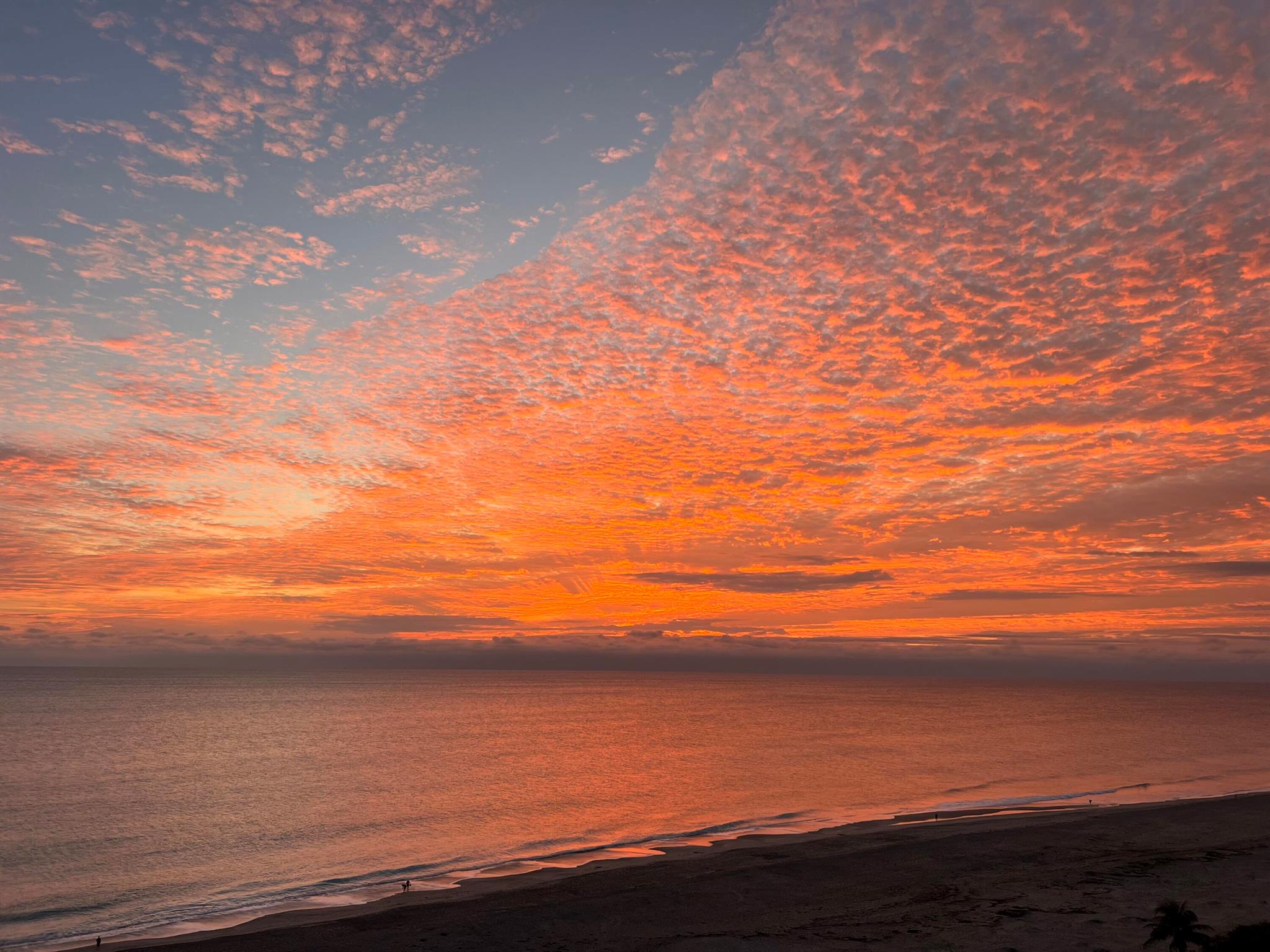 OCEAN ROYALE CONDOMINIUM - Residential