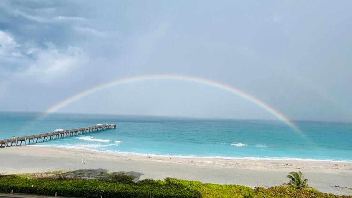 OCEAN ROYALE CONDOMINIUM - Residential