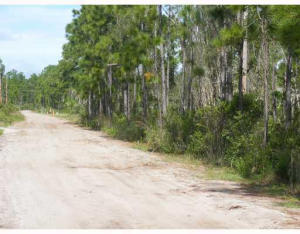Just Reduced to sell!!!!! Come check out this property and build your dream home! Close to US1 and I95,