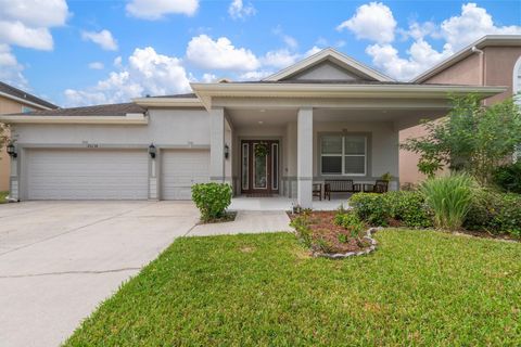 A home in Tampa