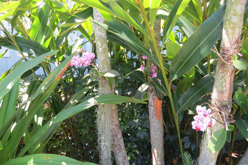 PROSPERITY BAY VILLAGE - Residential