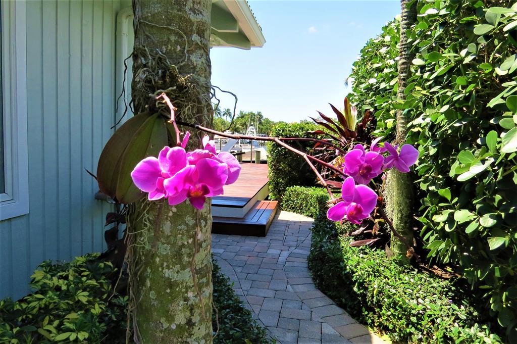 PROSPERITY BAY VILLAGE - Residential