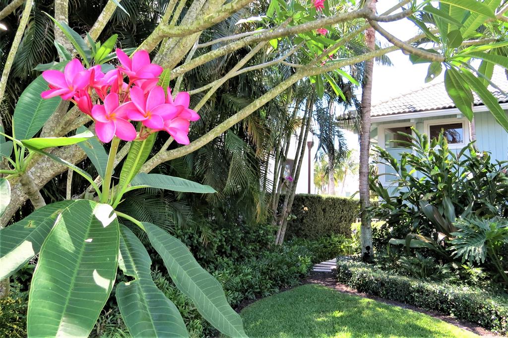 PROSPERITY BAY VILLAGE - Residential