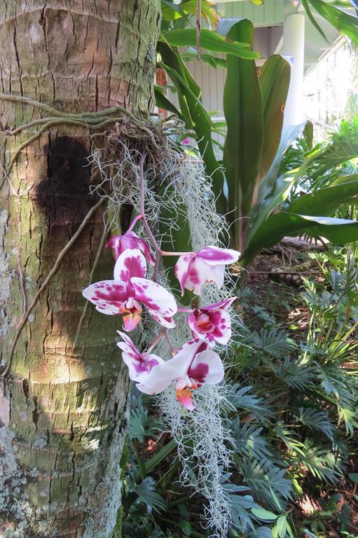 PROSPERITY BAY VILLAGE - Residential