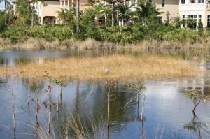 BOTANICA - Residential