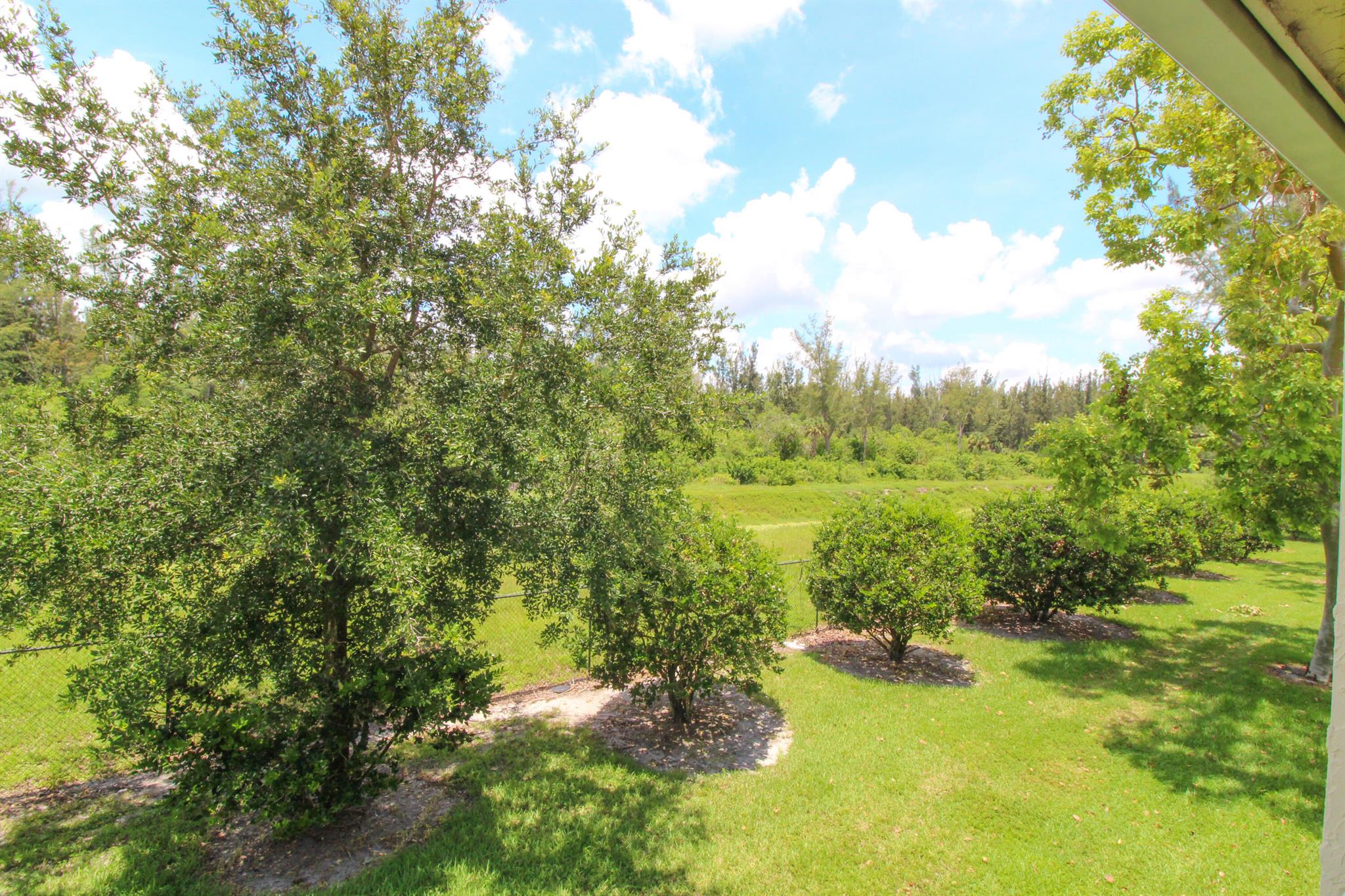 PALM BEACH PLACE CONDO - Residential