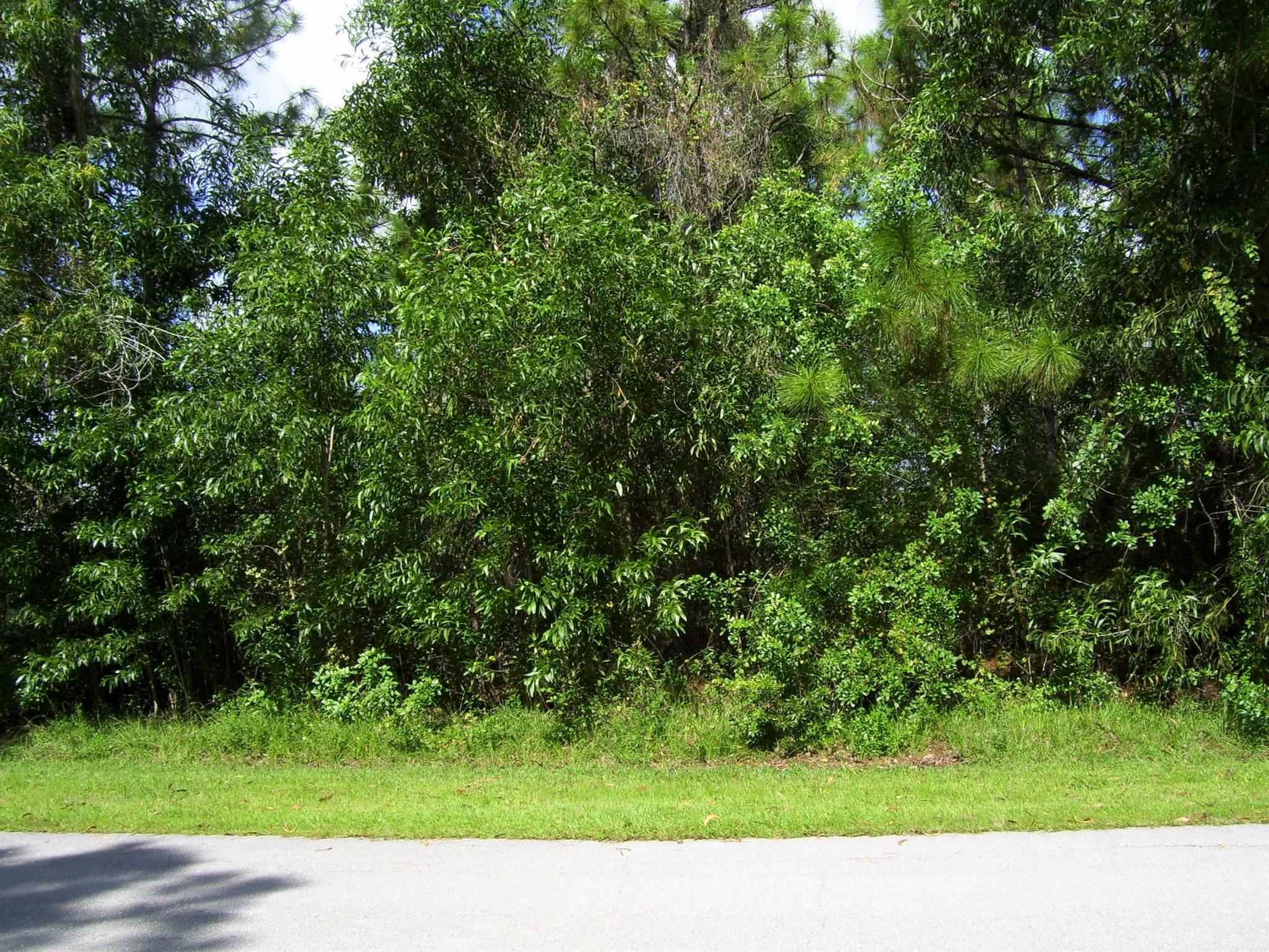 Location! Location! Location! Best-priced lot of its kind in the highly desirable Torino area. Oversized 0.29 acre lot on quiet street with no through traffic ends on a cul-de-sac with preserve/canal view for extra privacy. Great neighborhood with easy access to Turnpike and I-95. Just waiting for your dream home! This one won't last long... Bring Your Highest and Best!