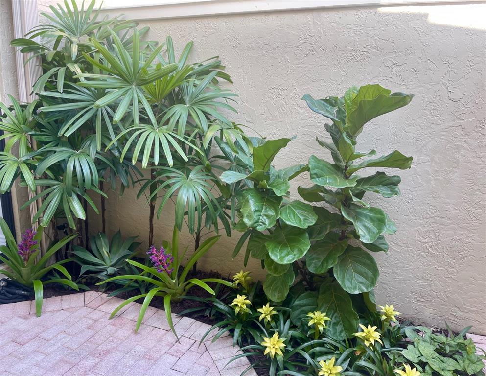 Ocean Cay - Residential