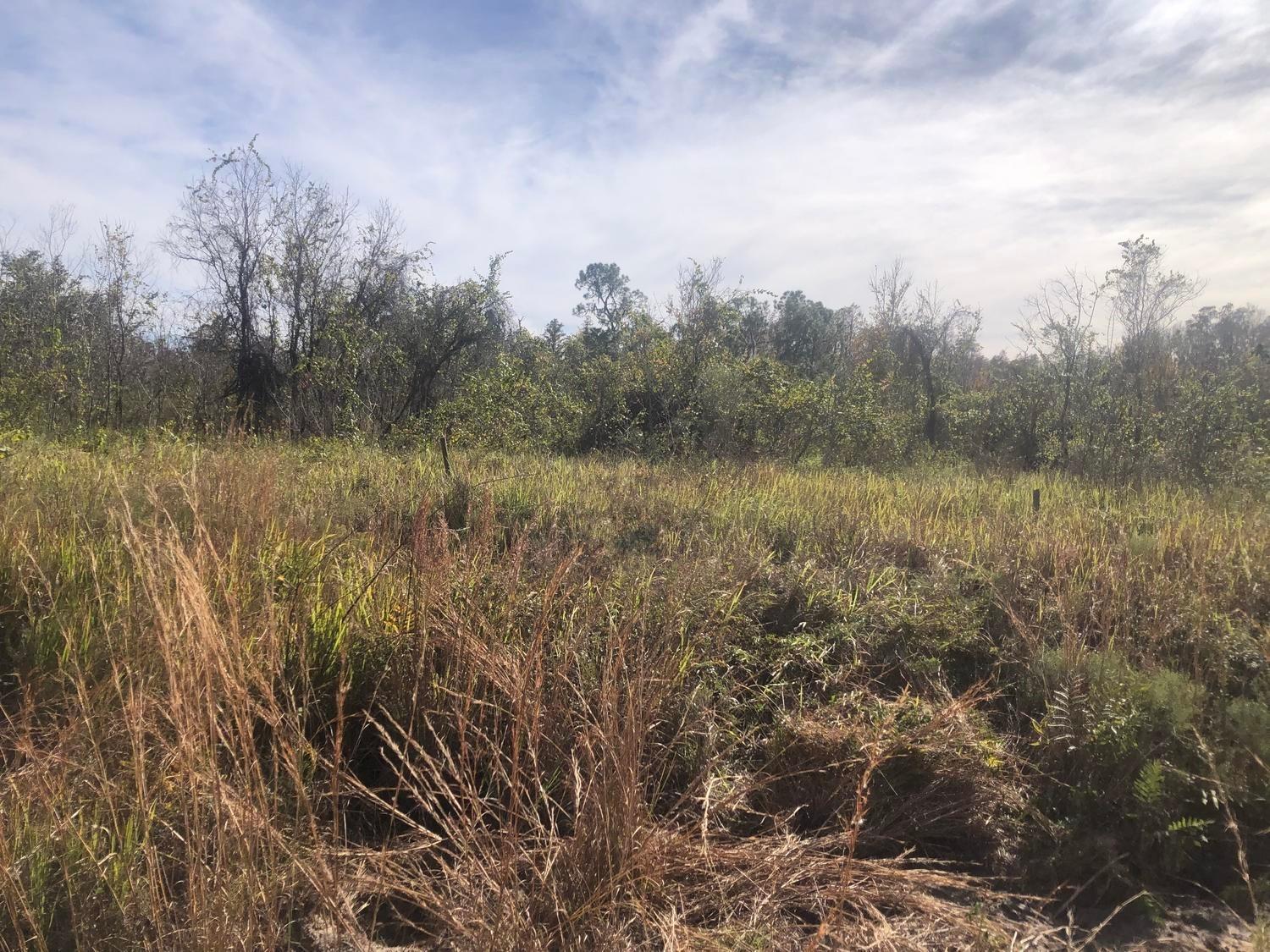 Goldenland Acres - Land