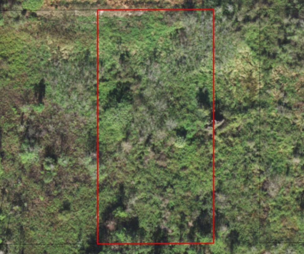 Goldenland Acres - Land