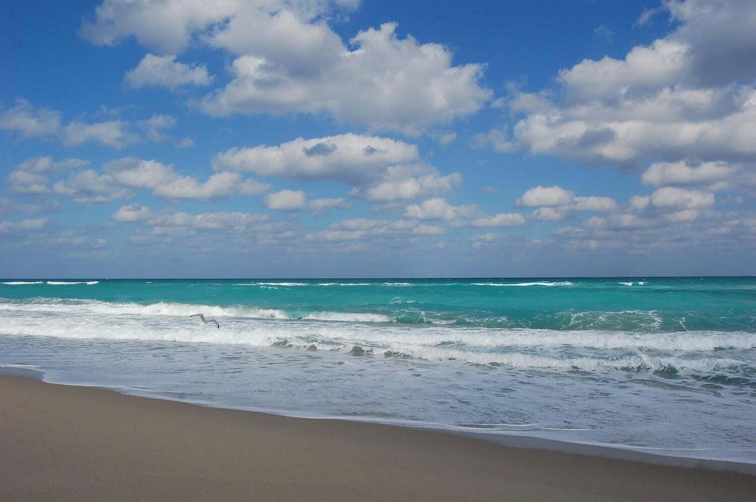 WATER GLADES CONDO - Residential Lease