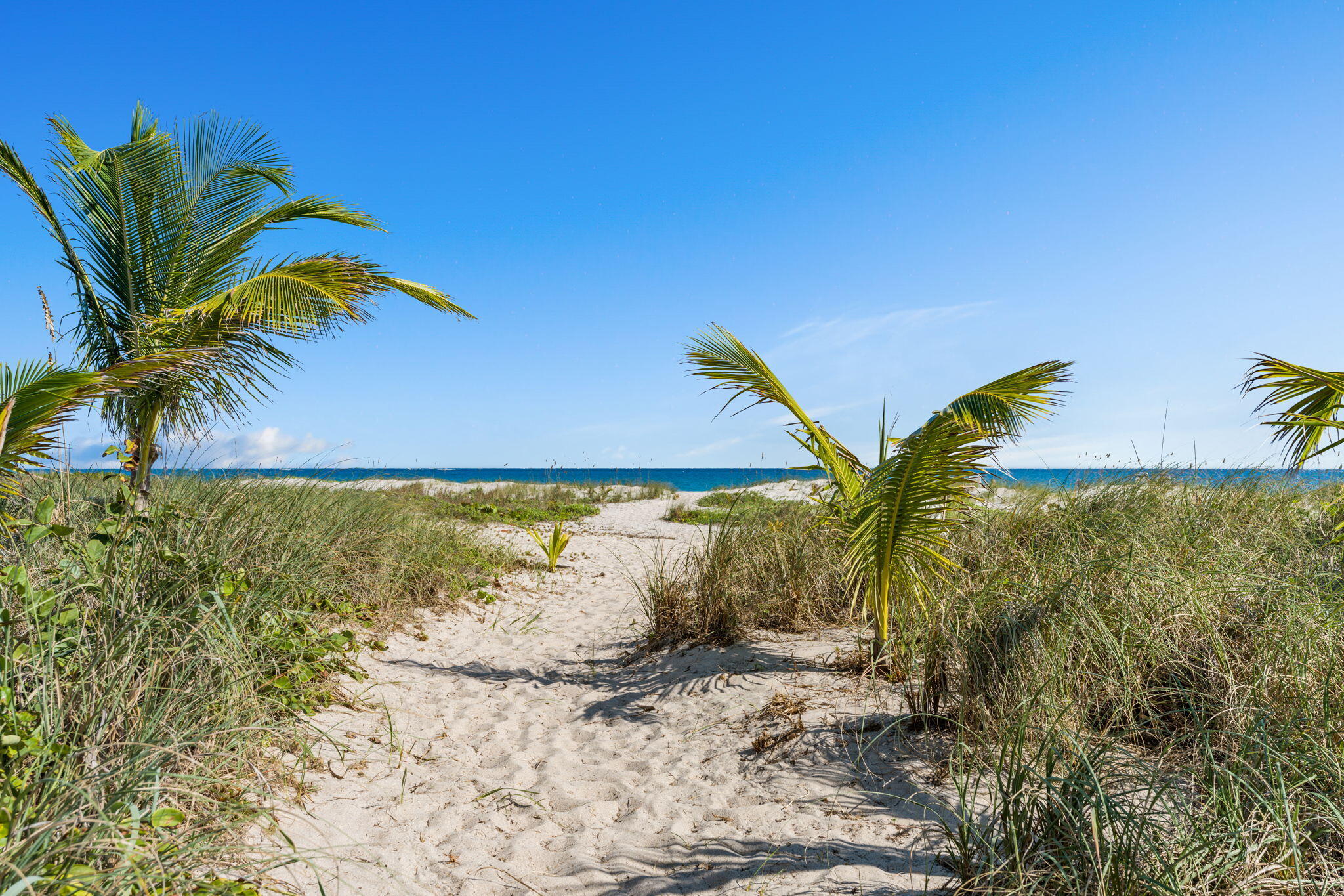 NORTH SHORE - Residential