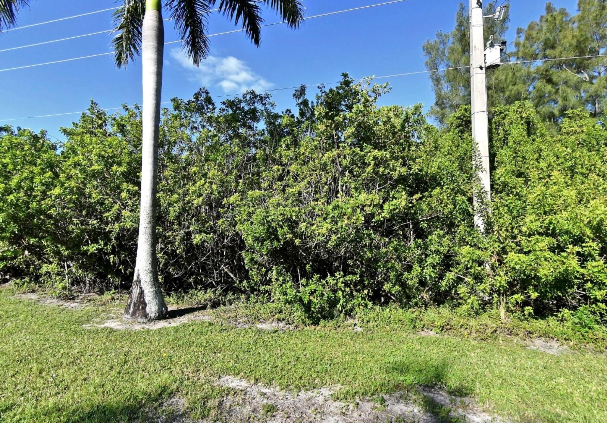 SURFSIDE PLAZA UNIT 1 REP - Land