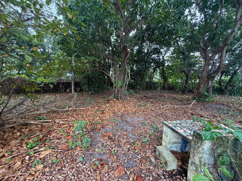 lke forrest - Residential