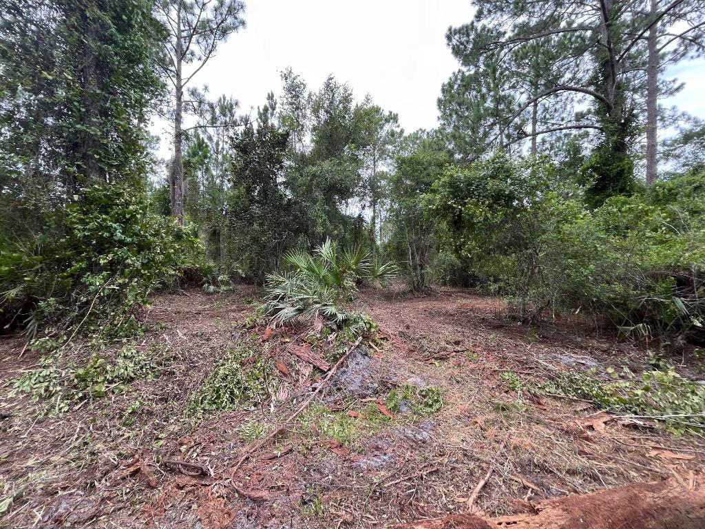 LAKE GEORGE MANOR - Land