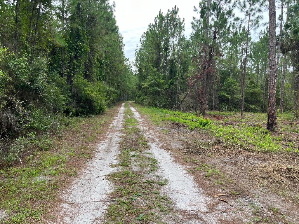 LAKE GEORGE MANOR - Land